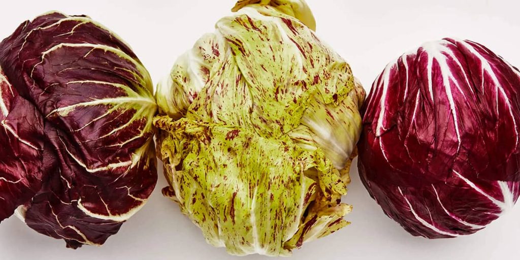 Radicchio и климатические условия Италии